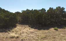 Apache County Arizona Land