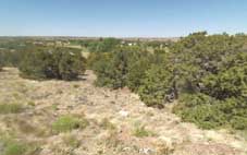 Apache County Arizona Land