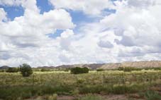 Apache County Arizona Land