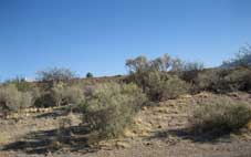 Cochise County Arizona Land