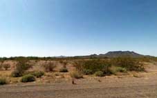 Maricopa County Arizona Land