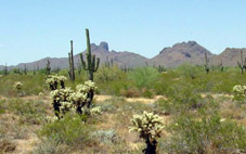 Maricopa County Arizona Land