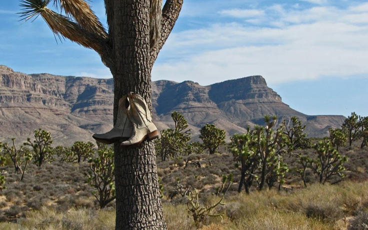 Mohave County Arizona Land APN 336-07-038