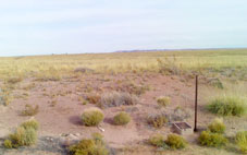 Navajo County Arizona Land