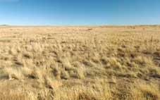 Navajo County Arizona Land