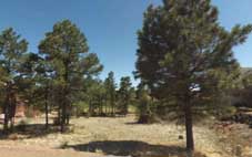 Navajo County Arizona land