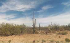 Pinal County Arizona Land