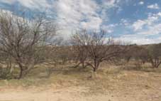 Santa Cruz County Arizona Land