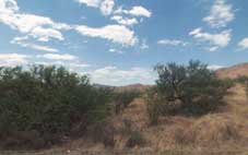 Santa Cruz County Arizona Land