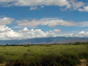 Featured Real Estate Property